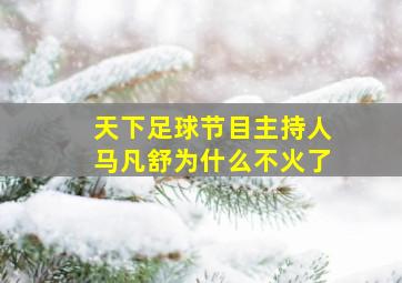 天下足球节目主持人马凡舒为什么不火了