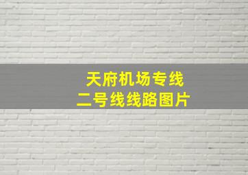 天府机场专线二号线线路图片