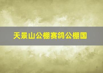 天景山公棚赛鸽公棚国