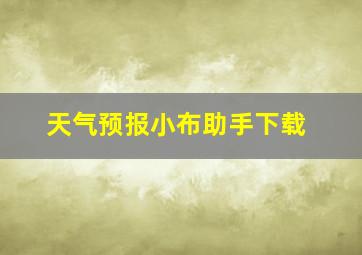 天气预报小布助手下载