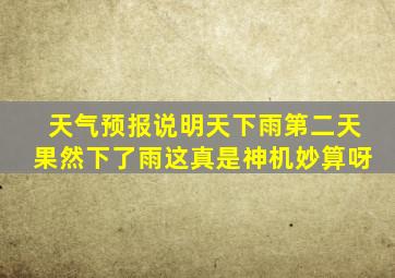 天气预报说明天下雨第二天果然下了雨这真是神机妙算呀