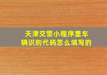 天津交警小程序里车辆识别代码怎么填写的