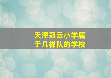 天津冠云小学属于几梯队的学校