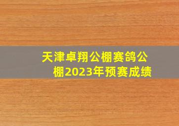 天津卓翔公棚赛鸽公棚2023年预赛成绩