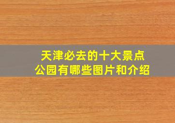 天津必去的十大景点公园有哪些图片和介绍