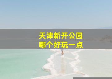 天津新开公园哪个好玩一点