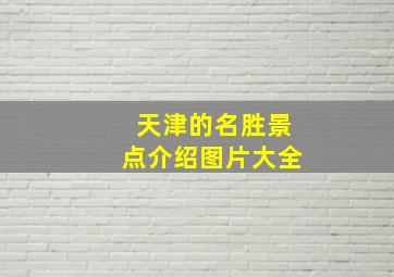 天津的名胜景点介绍图片大全