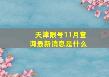 天津限号11月查询最新消息是什么