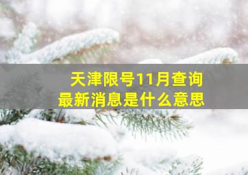 天津限号11月查询最新消息是什么意思