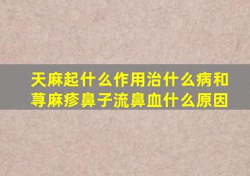 天麻起什么作用治什么病和荨麻疹鼻子流鼻血什么原因