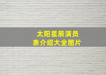 太阳星辰演员表介绍大全图片