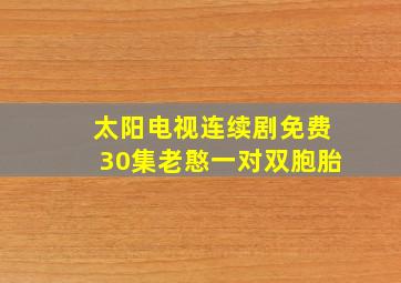 太阳电视连续剧免费30集老憨一对双胞胎