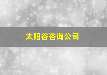 太阳谷咨询公司