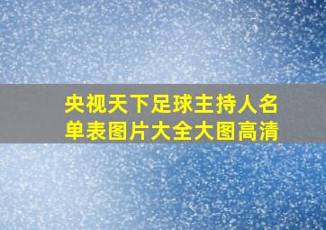 央视天下足球主持人名单表图片大全大图高清