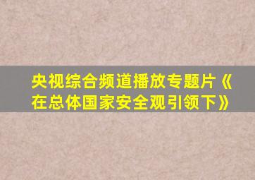 央视综合频道播放专题片《在总体国家安全观引领下》