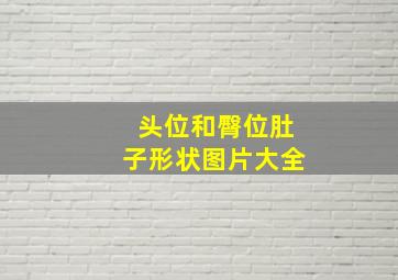 头位和臀位肚子形状图片大全