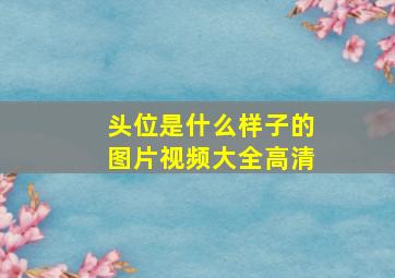 头位是什么样子的图片视频大全高清