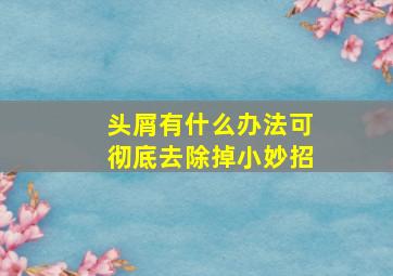 头屑有什么办法可彻底去除掉小妙招