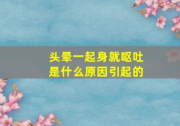 头晕一起身就呕吐是什么原因引起的