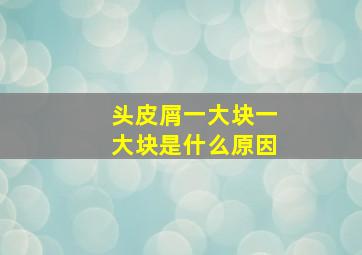 头皮屑一大块一大块是什么原因