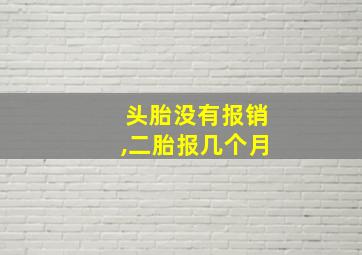 头胎没有报销,二胎报几个月