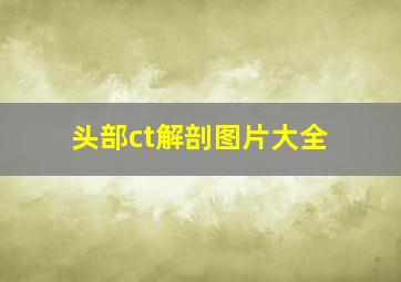 头部ct解剖图片大全