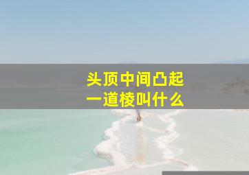 头顶中间凸起一道棱叫什么