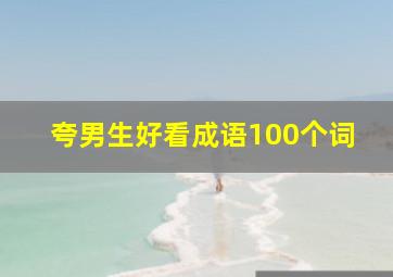 夸男生好看成语100个词