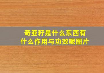 奇亚籽是什么东西有什么作用与功效呢图片