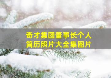 奇才集团董事长个人简历照片大全集图片