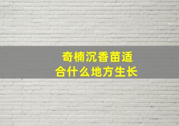 奇楠沉香苗适合什么地方生长