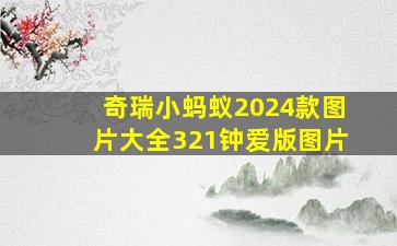 奇瑞小蚂蚁2024款图片大全321钟爱版图片