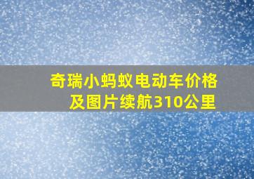 奇瑞小蚂蚁电动车价格及图片续航310公里