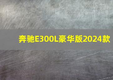 奔驰E300L豪华版2024款