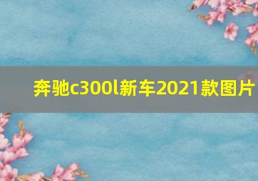 奔驰c300l新车2021款图片