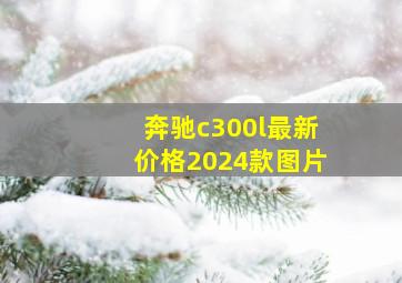 奔驰c300l最新价格2024款图片