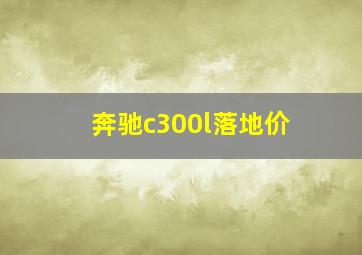 奔驰c300l落地价