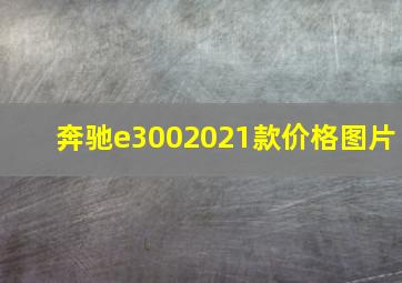 奔驰e3002021款价格图片