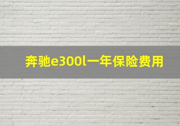 奔驰e300l一年保险费用