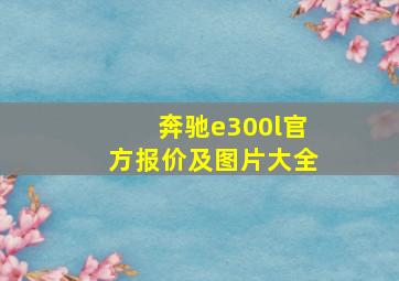 奔驰e300l官方报价及图片大全