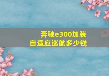 奔驰e300加装自适应巡航多少钱