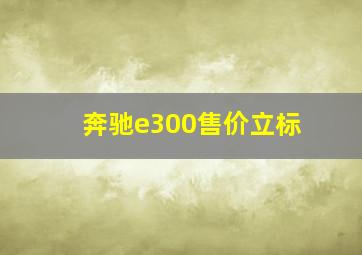 奔驰e300售价立标