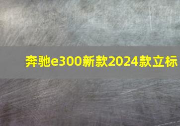 奔驰e300新款2024款立标