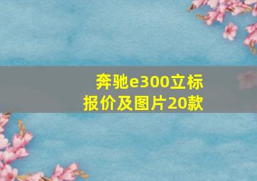 奔驰e300立标报价及图片20款