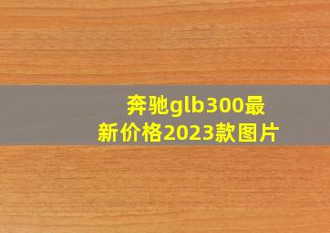 奔驰glb300最新价格2023款图片