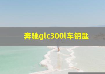 奔驰glc300l车钥匙