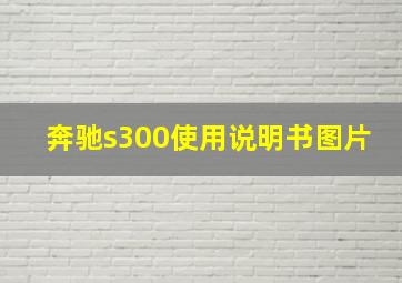 奔驰s300使用说明书图片