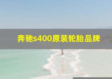 奔驰s400原装轮胎品牌