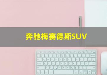 奔驰梅赛德斯SUV