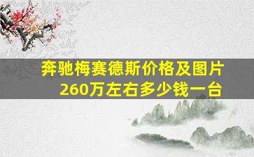 奔驰梅赛德斯价格及图片260万左右多少钱一台